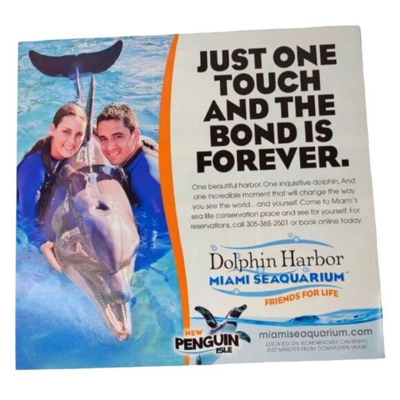 Dolphin Harbor Miami Seaquarium Florida Print ad - Picture 1 of 5
